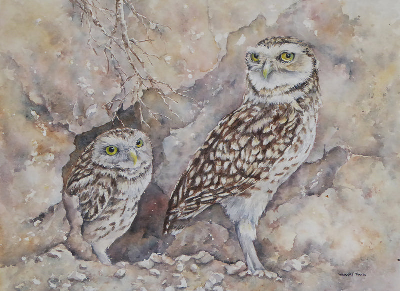 Burrowing Owls - watercolour by Linda Travers Smith