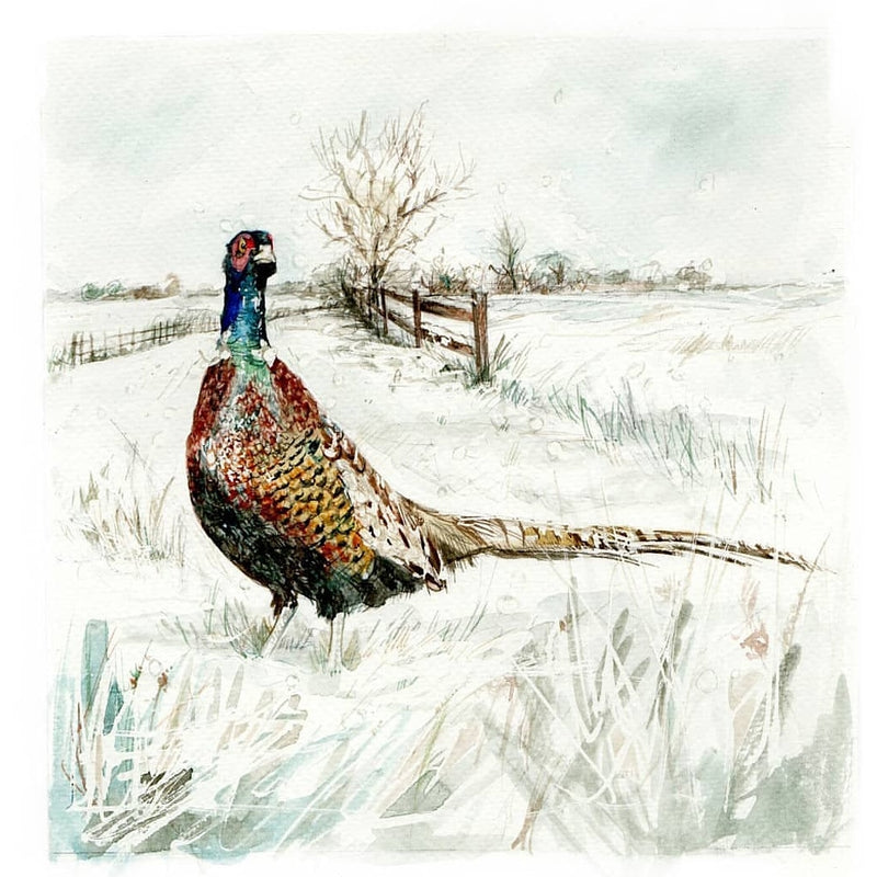 Feathers of Frost by Carmen Carreira