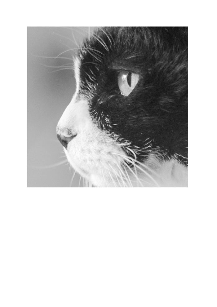 ‘Introduction to Charcoal Realism in Animals’ - Workshop with Artist, Becky Gouverneur