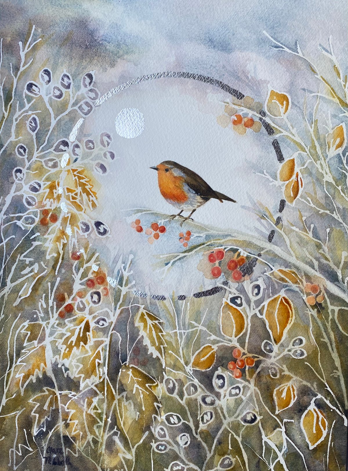Little Robin by Clare Tebboth