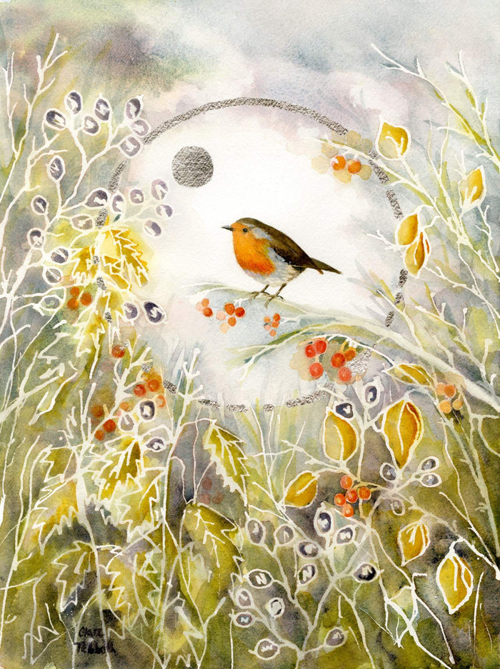 Little Robin by Clare Tebboth
