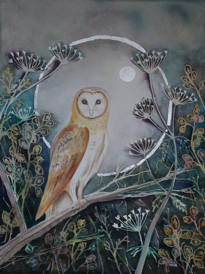 Night Owl by Clare Tebboth