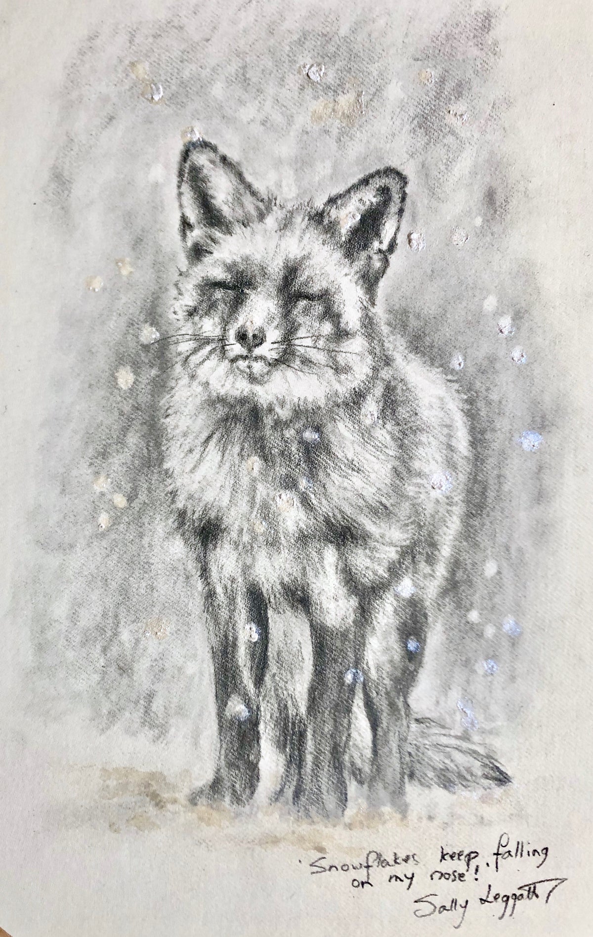 Snowflake Fox - Graphite Study by Sally Leggatt