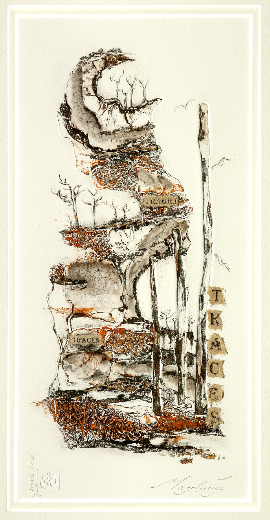 Fragile Traces by Kim Major-George