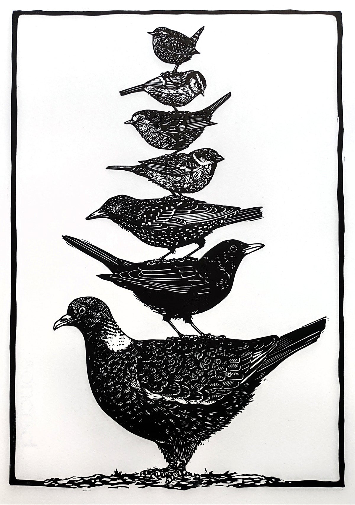 Garden Bird Stack - Linocut by Tamsin Jolly