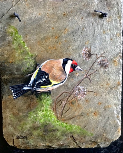 Goldfinch - Painting on Slate by Rosemary Timney