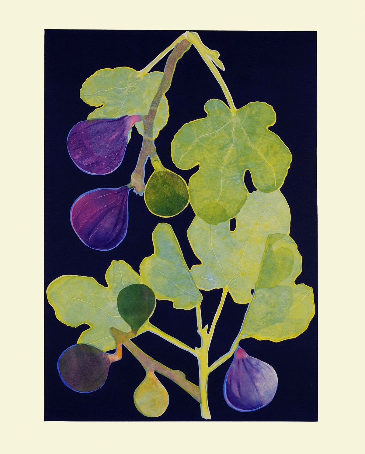 Nature's Jewels by Helen Boden
