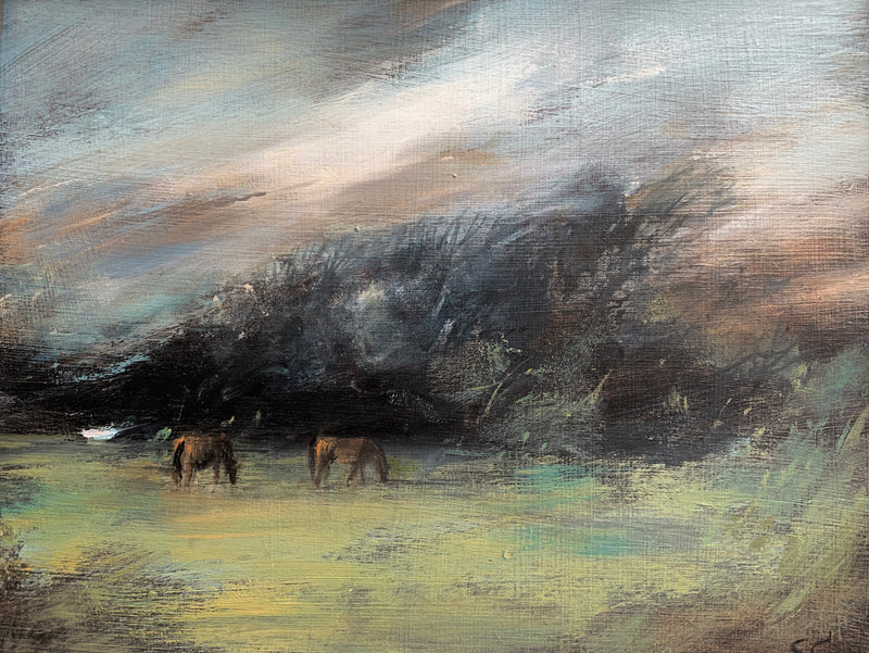 Horse Field, Evening by Susan Gray