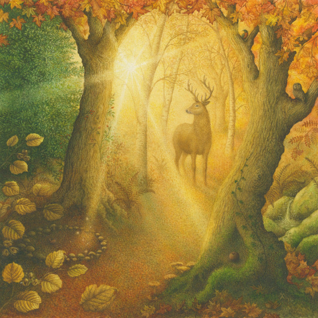 Wildwood Way by Meraylah Allwood