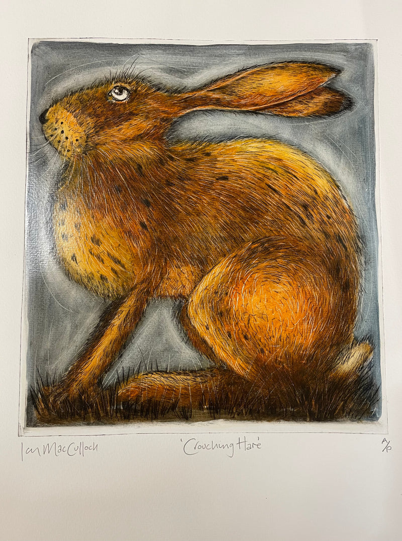 Crouching Hare  A/P by Ian MacCulloch