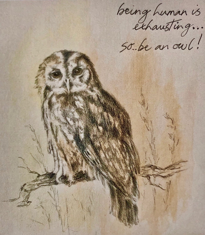 Be An Owl by Sally Leggatt