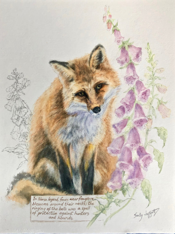 Fox and Foxgloves by Sally Leggatt