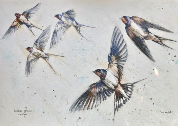 Summertime Swallows by Sally Leggatt