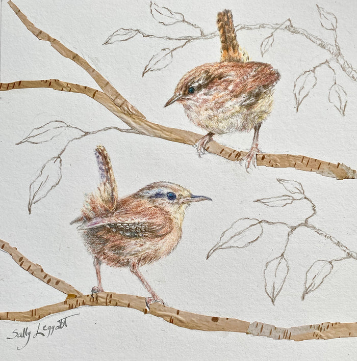 "Wrens" by Sally Leggatt