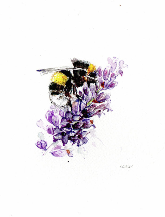  Lavender Bee by Carmen Carreira