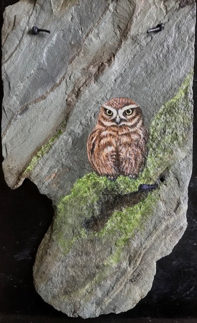 Little Owl - Painting on Slate by Rosemary Timney