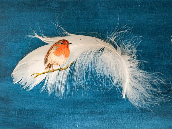 Robin 2 - painting on feather by Mandi Baykaa-Murray - 'The Feather Lady'