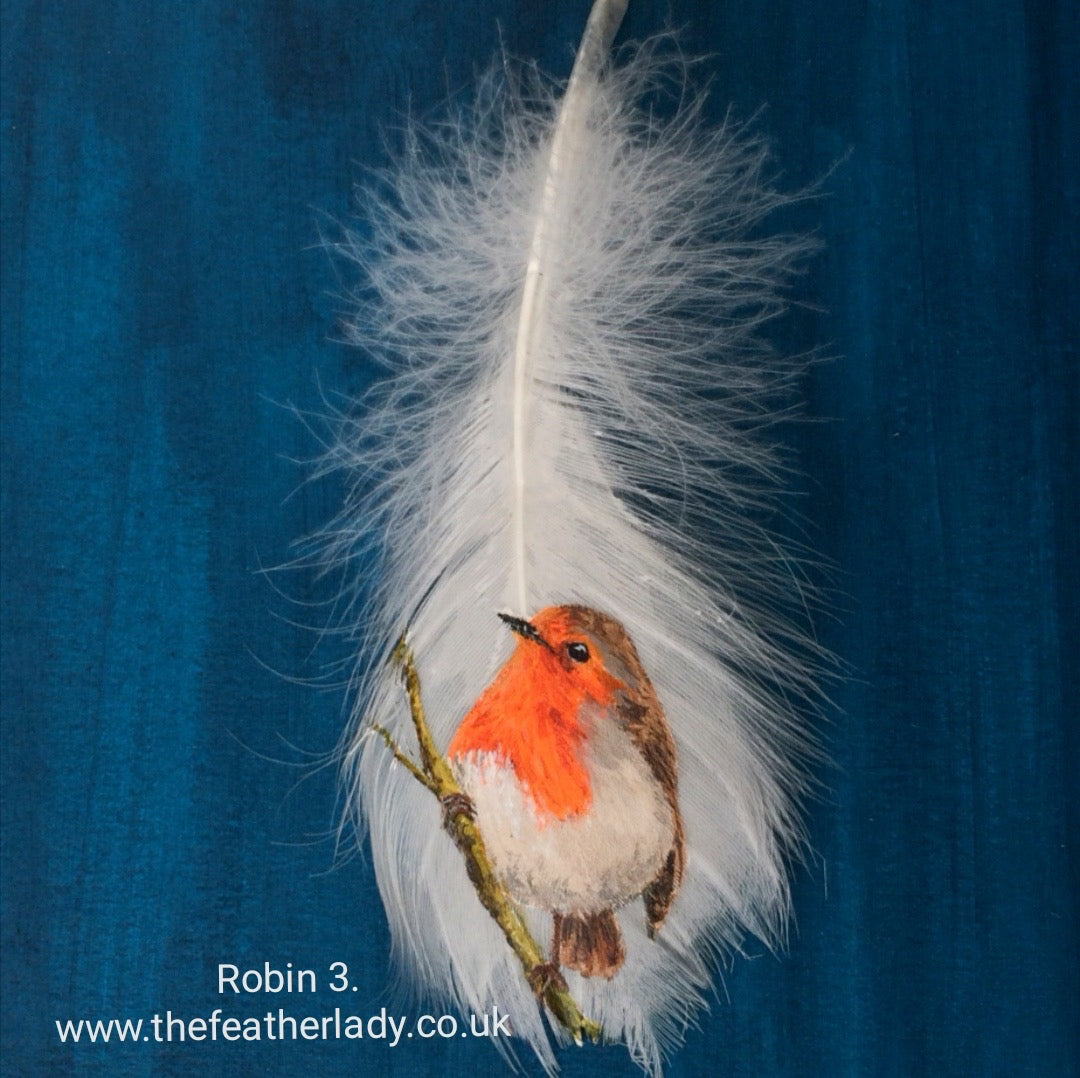 Robin 3 - painting on feather by Mandi Baykaa-Murray - 'The Feather Lady'