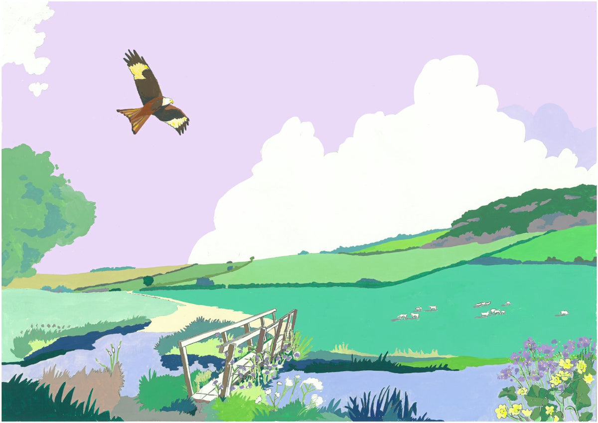 Red Kite in the Chilterns by Mary Casserley