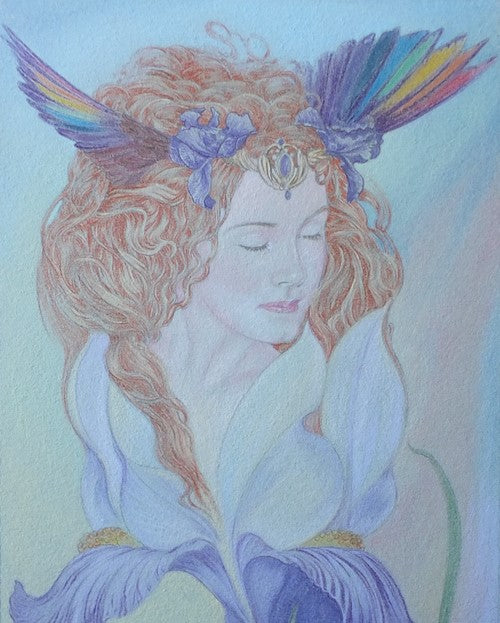 Messenger of the Gods - Original Pastel Drawing by Ed Org