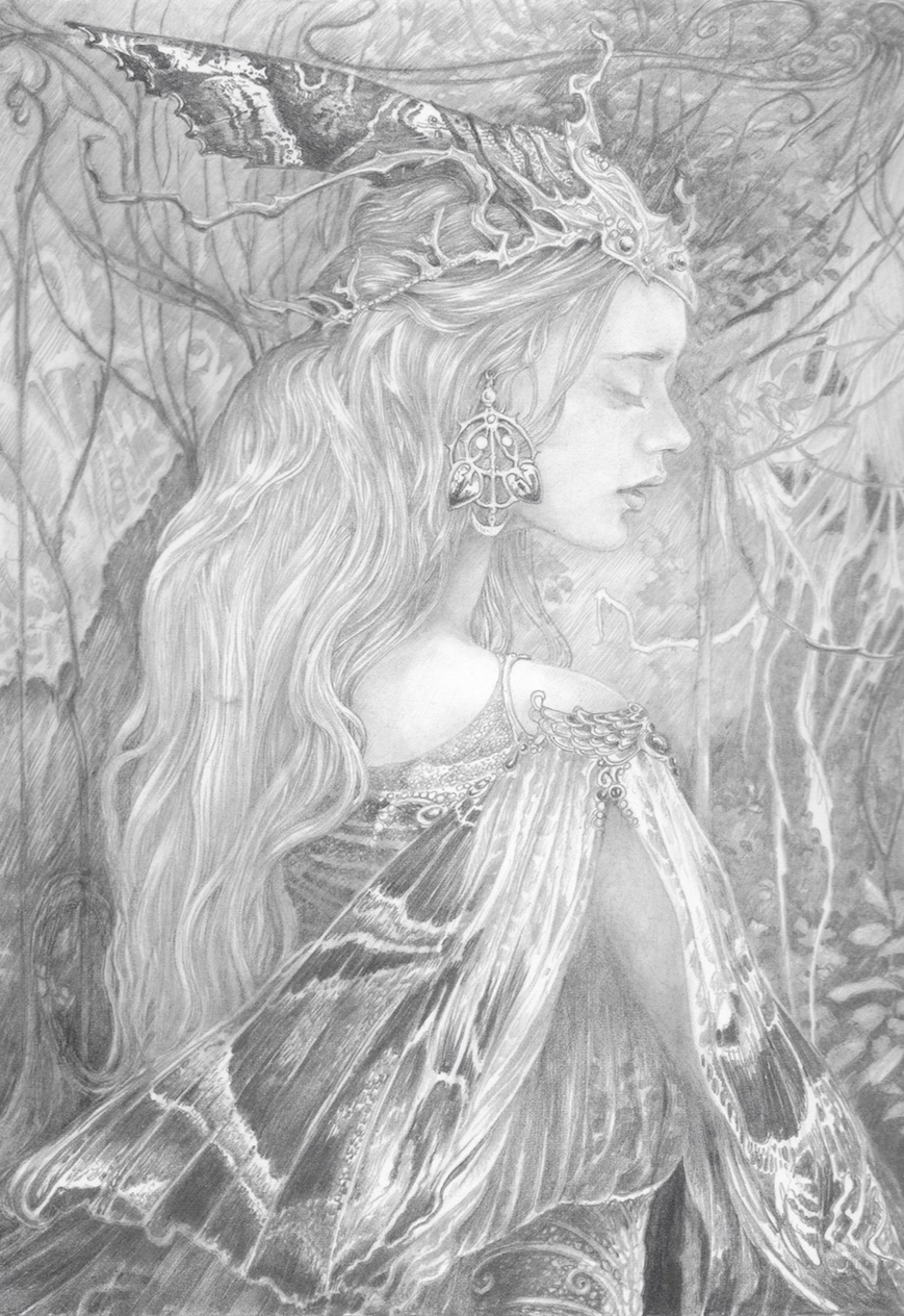 Moth - Signed Print by Ed Org