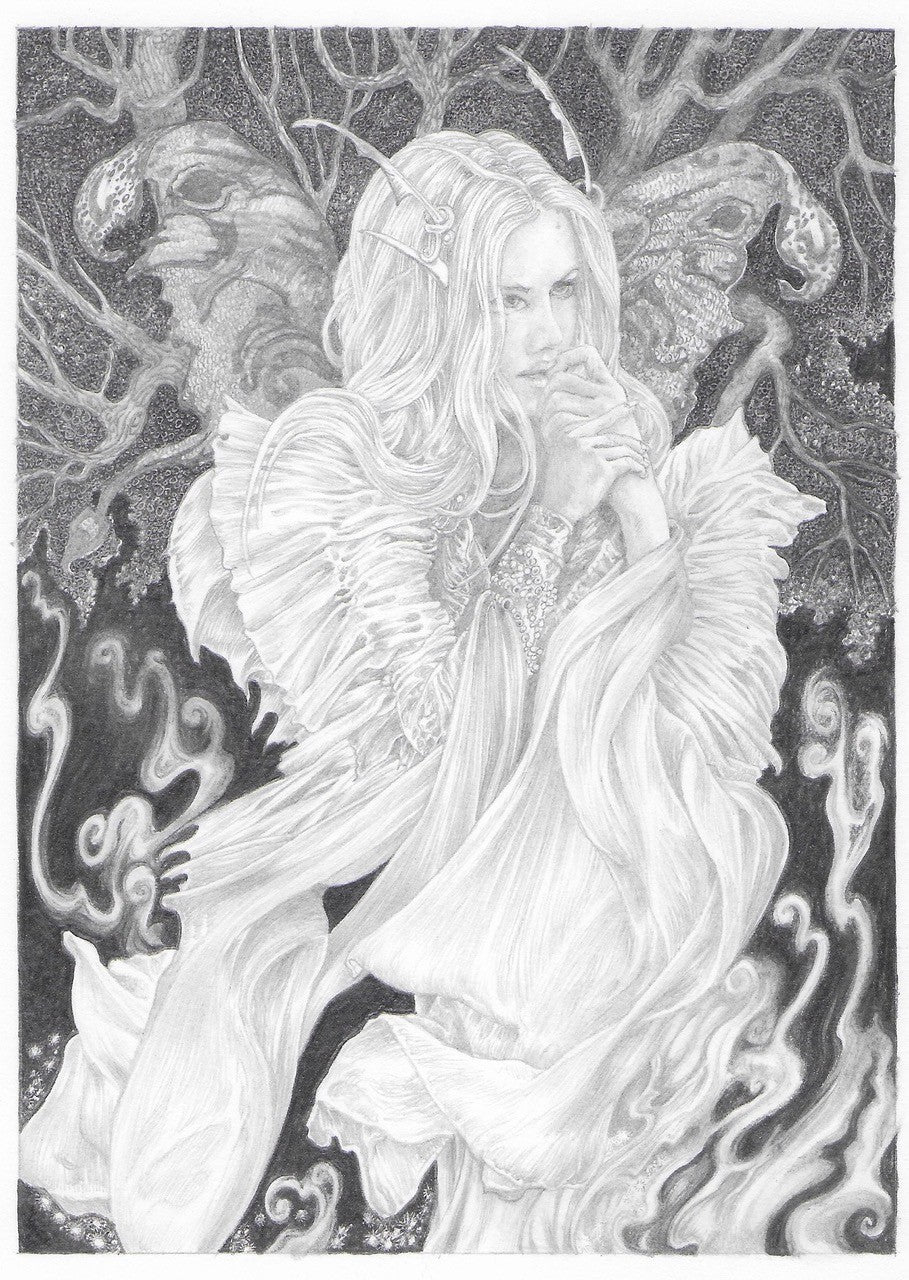 Moth - Original