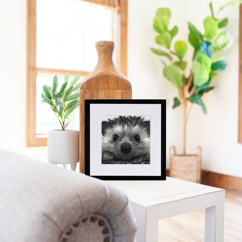 Mr Prickles the Hedgehog by Catherine Browne