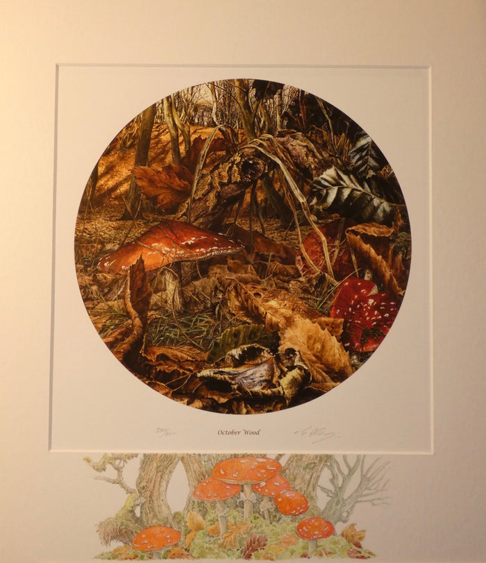 Framed artwork of a forest scene with mushrooms and foliage on a beige wall.