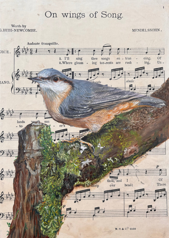 On Wings of Song by Helen Abbott