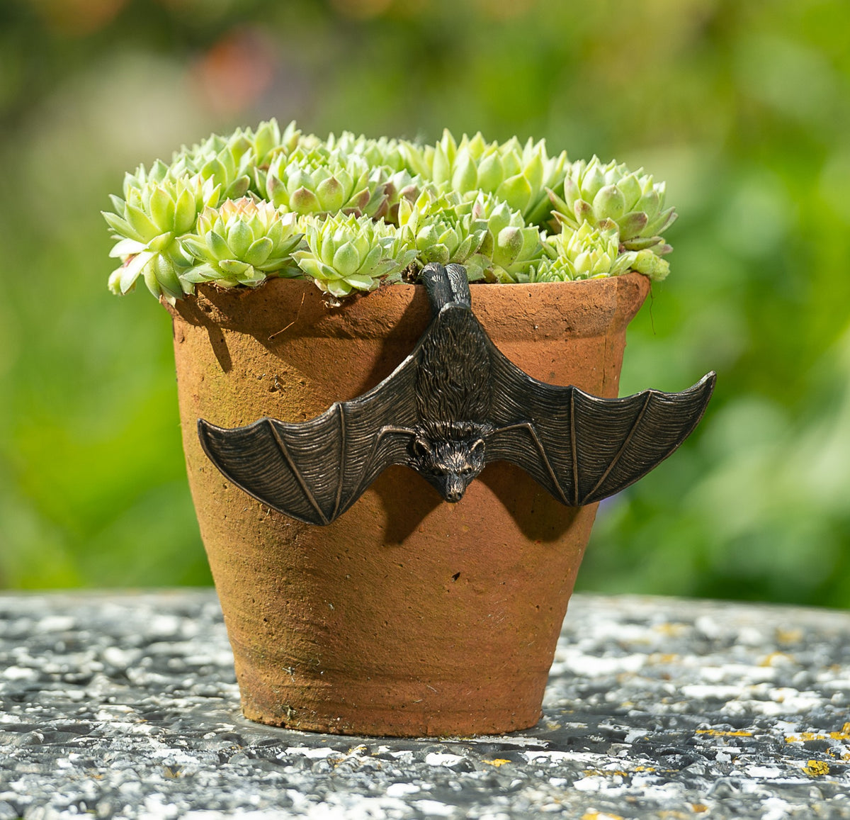 Bronze Bat Pot Buddy (wings open) suitable indoors and outside in the garden
