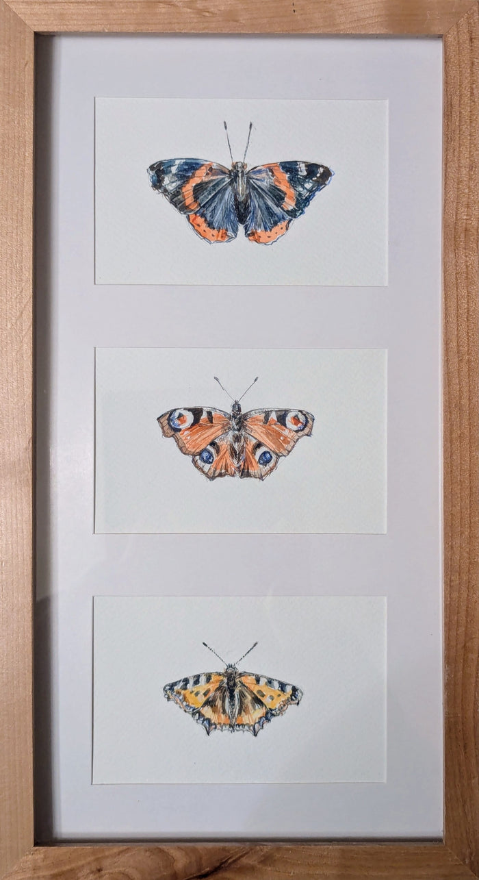  Spring Butterflies by Carmen Carreira