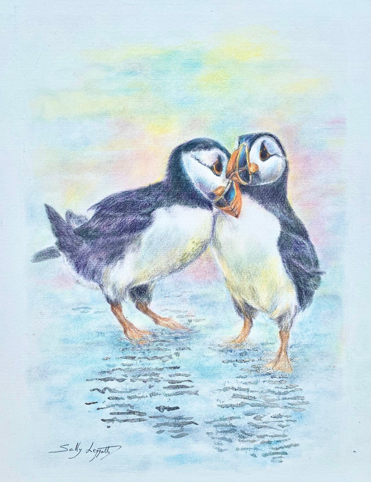 Puffins - by Sally Leggatt