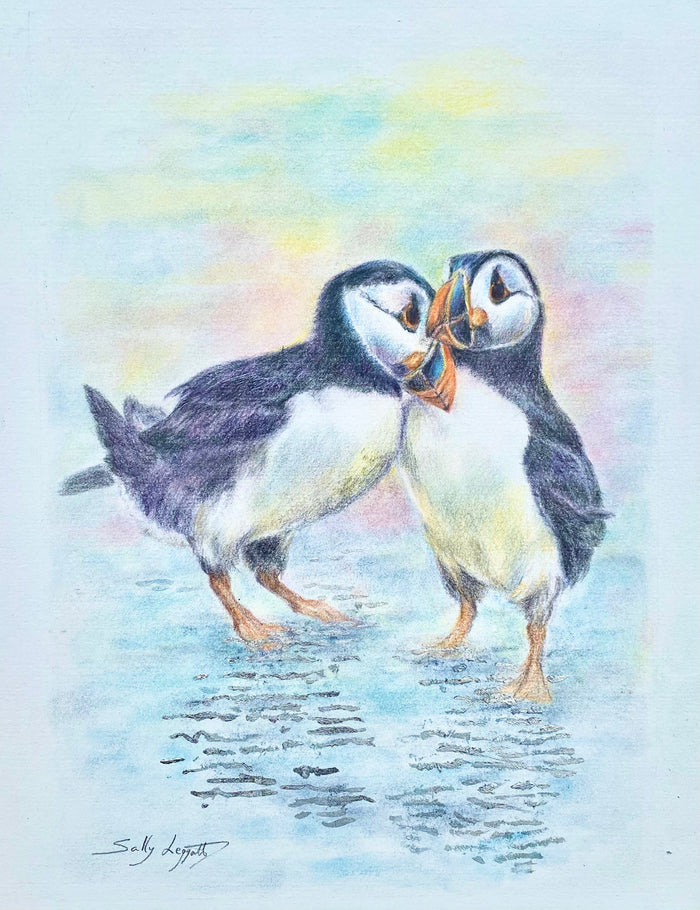 Puffins - by Sally Leggatt