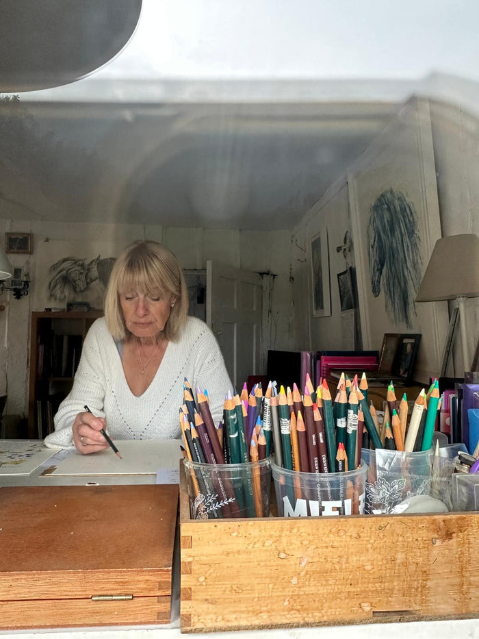 ‘Art Inspiration from Nature’ Workshop for Adults & Young People with Artist, Sally Leggatt
