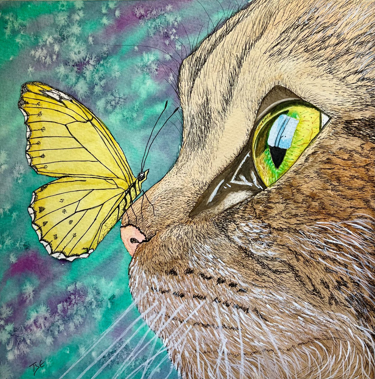 Artistic illustration of a cat's face with a butterfly on its nose against a colorful background