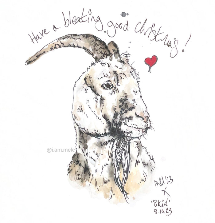 "Have a Bleating Good Christmas!" Pen & Ink Cat Drawing by Melanie Cairns.