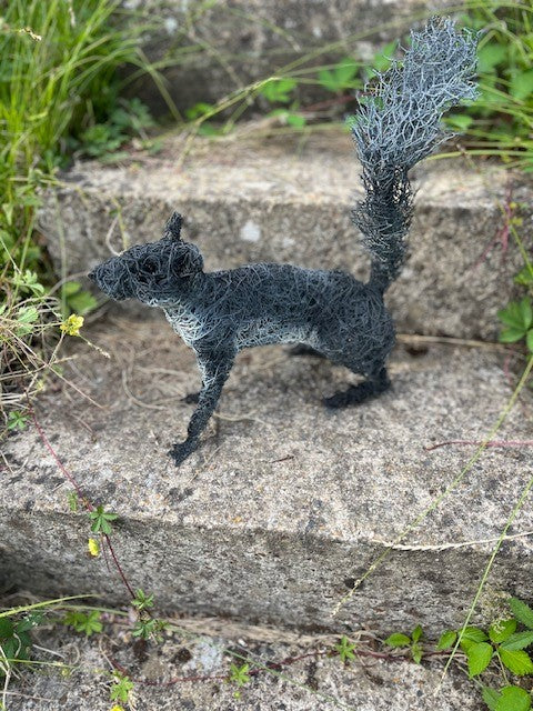 Squirrel - wire sculpture by Lucia Corrigan