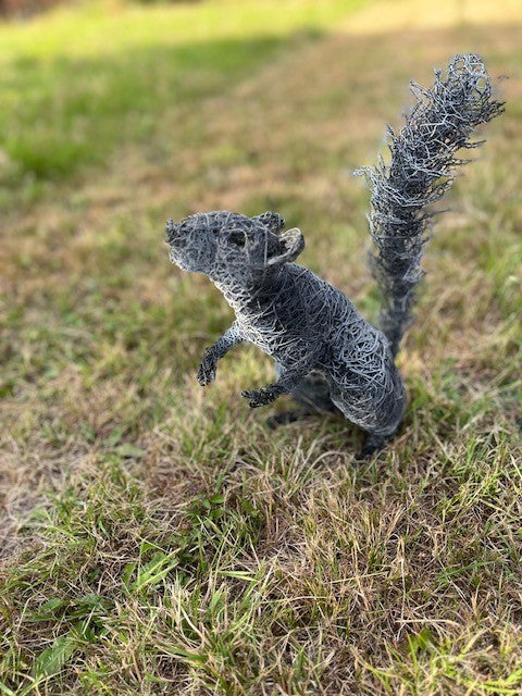Squirrel 2 - wire sculpture by Lucia Corrigan