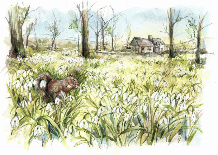 Squirrel Among the Snowdrops by Carmen Carreira