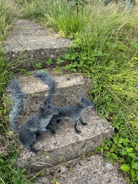 Squirrel - wire sculpture by Lucia Corrigan