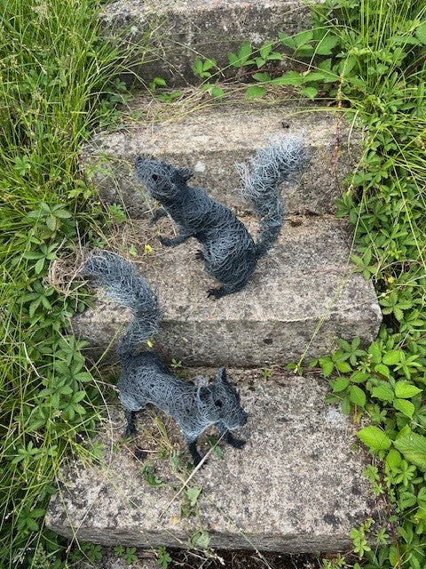 Squirrel - wire sculpture by Lucia Corrigan