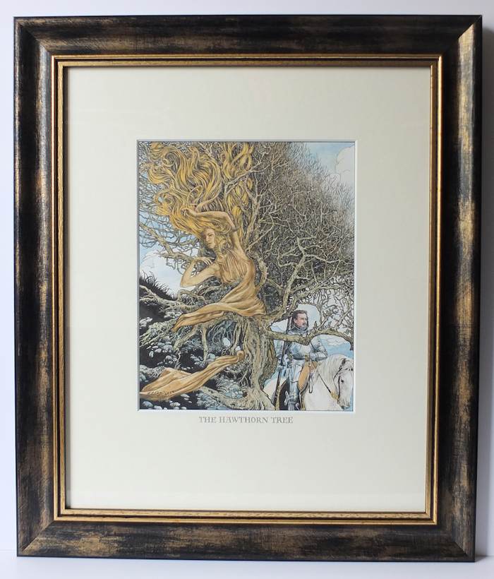 The Hawthorn Tree - Original Drawing