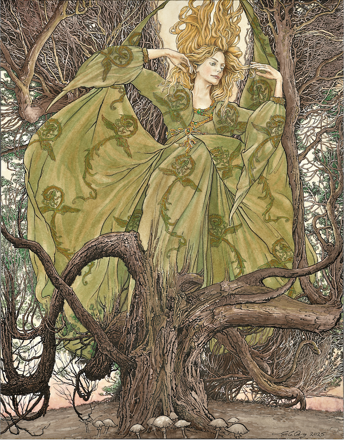The Witch Tree - Signed Print