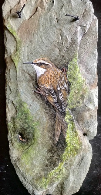Treecreeper - Painting on Slate by Rosemary Timney