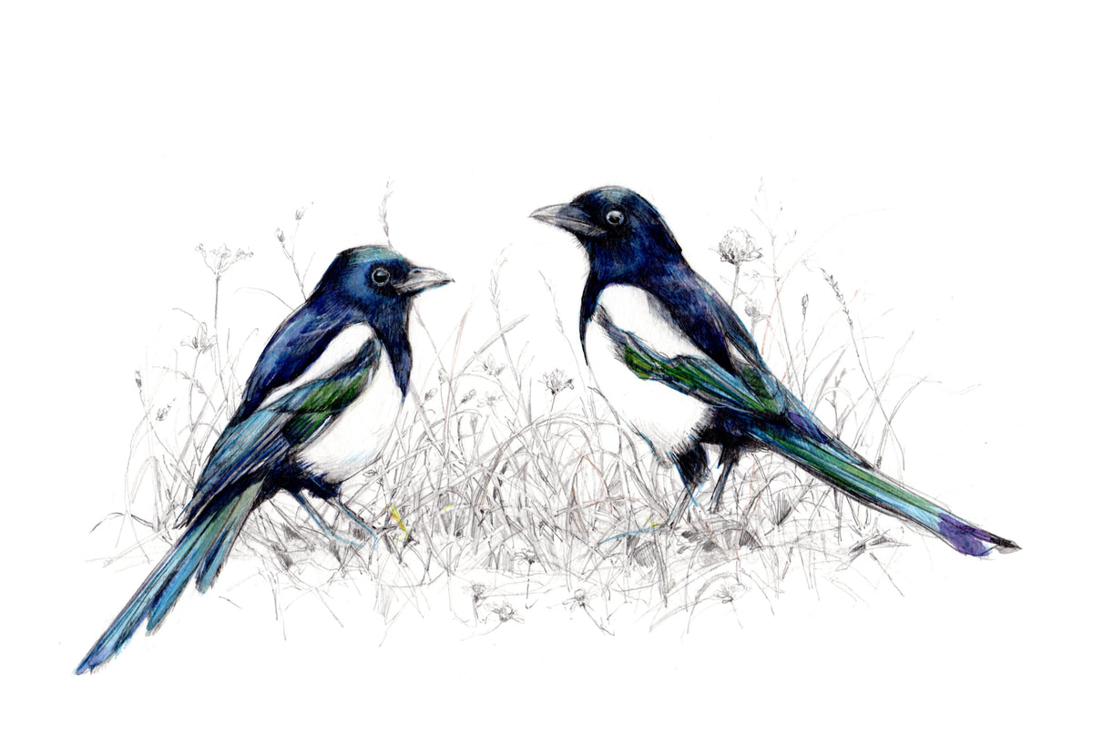 Watercolour painting of Two magpies entitled Two for Joy by Carmen Carreira