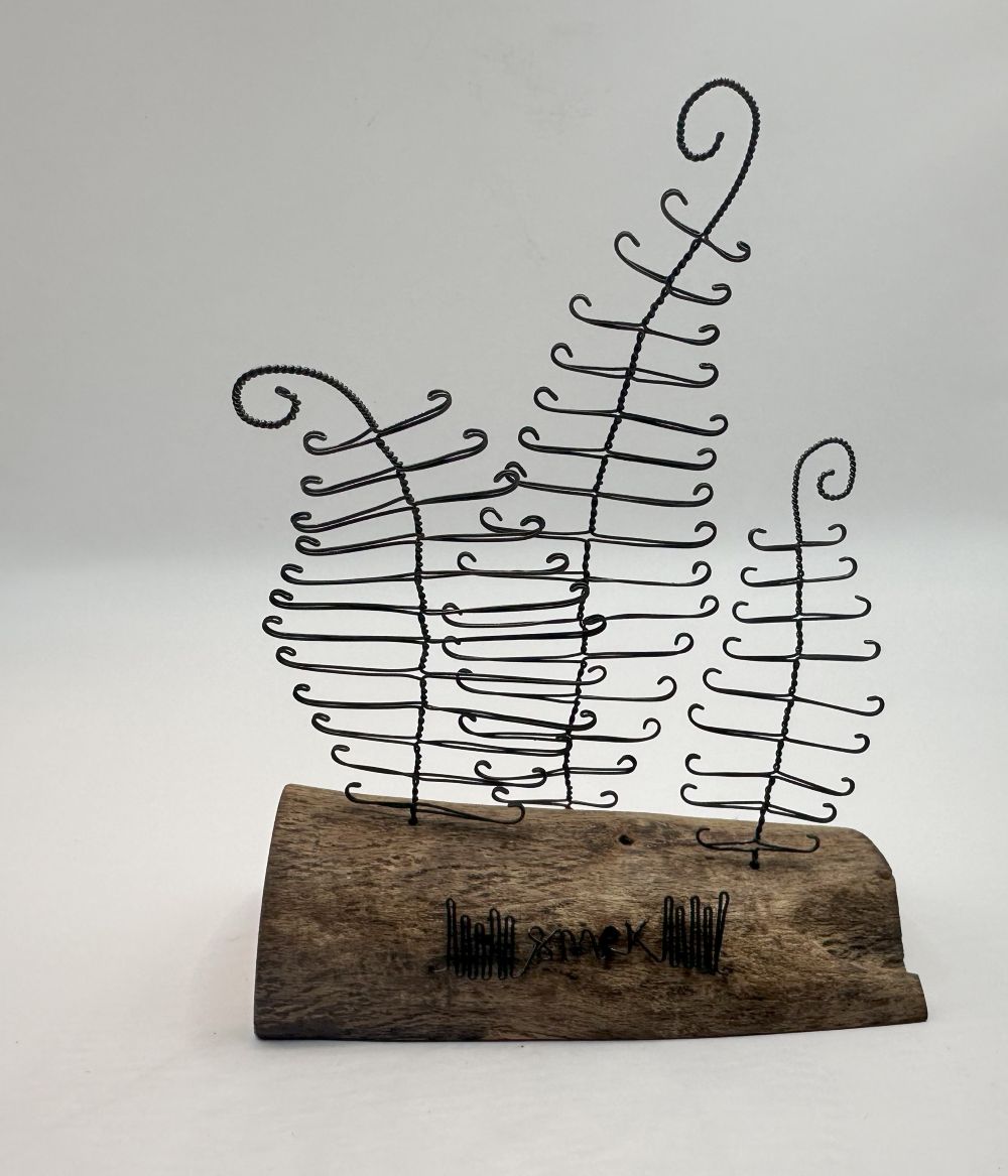 Ferns - wire and waxed driftwood scupture by Wild Grey Art (WGA2)