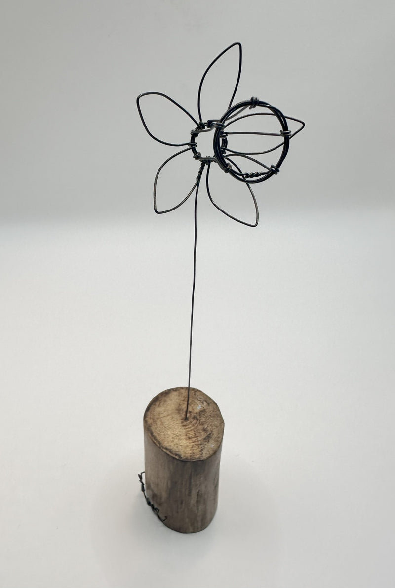 Single Daffodil - wire and waxed driftwood scupture by Wild Grey Art (WGA23)