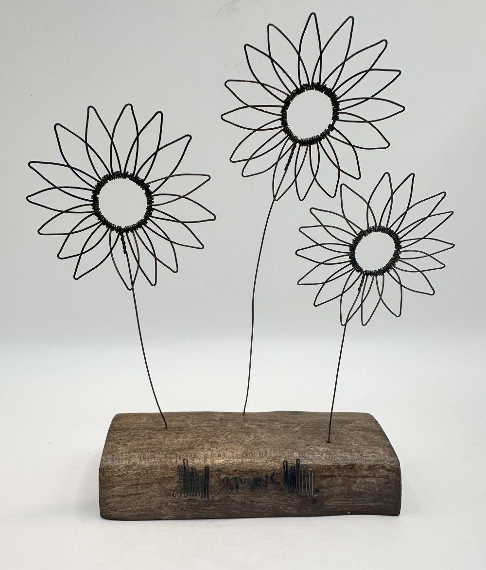 Daisies (3) - wire and waxed driftwood scupture by Wild Grey Art (WGA7)