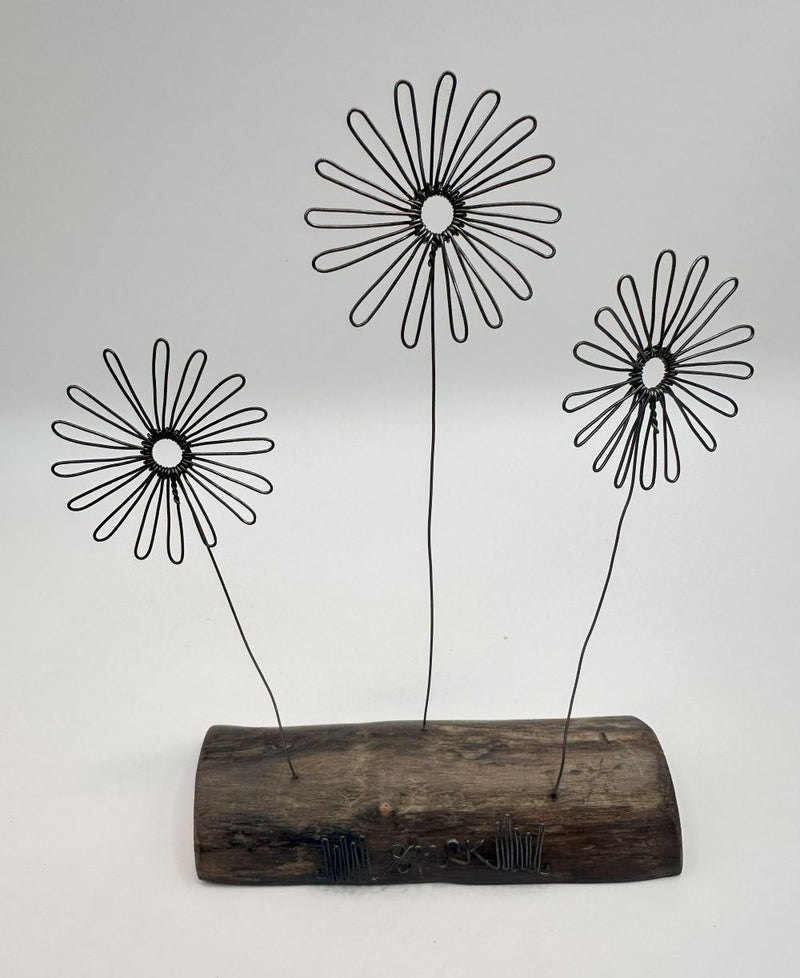 Daisies (3) - wire and waxed driftwood scupture by Wild Grey Art (WGA7)