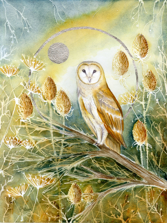 Watercolour painting of Owl on branch with teasels